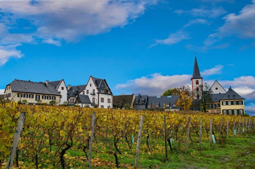 Rheingau Wine Region